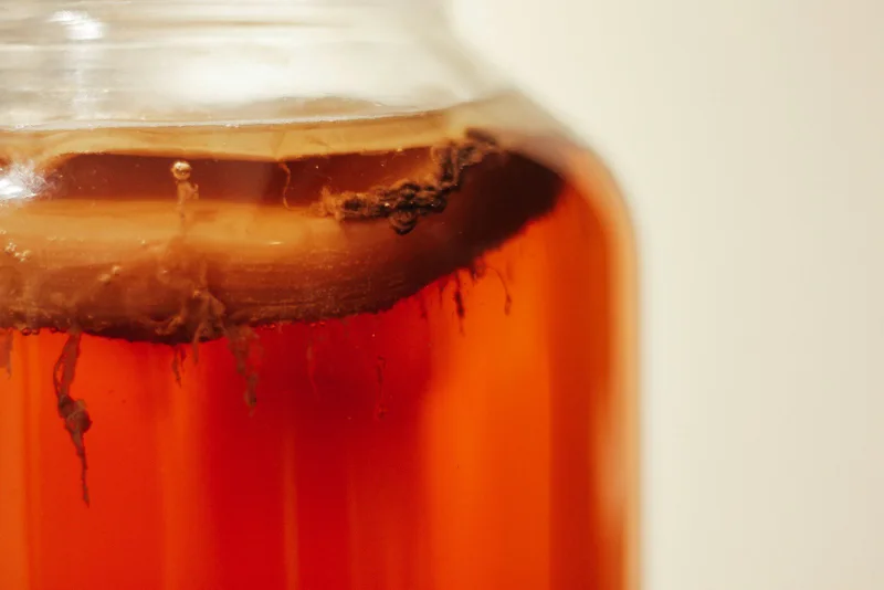 probiotics in jar looks like honey